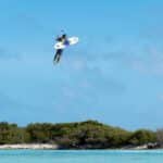 גלשן סלקט קרבון SELECT SLS 2026